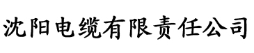 抖音成年版ios电缆厂logo